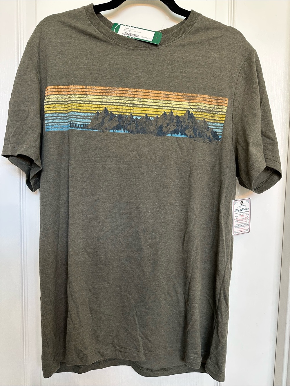 Men's Olive Graphic Mountain Stripe T-Shirt